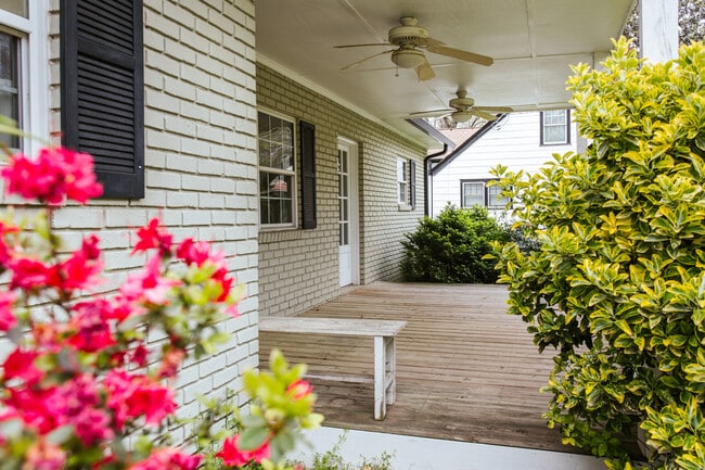 Building Photo - 255 Sunset Dr