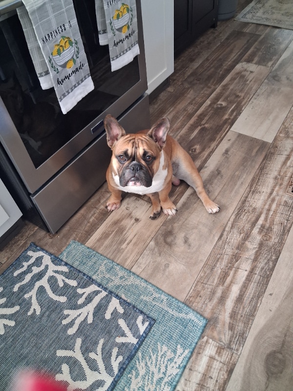 Building Photo - 936 Pineclair Dr SW