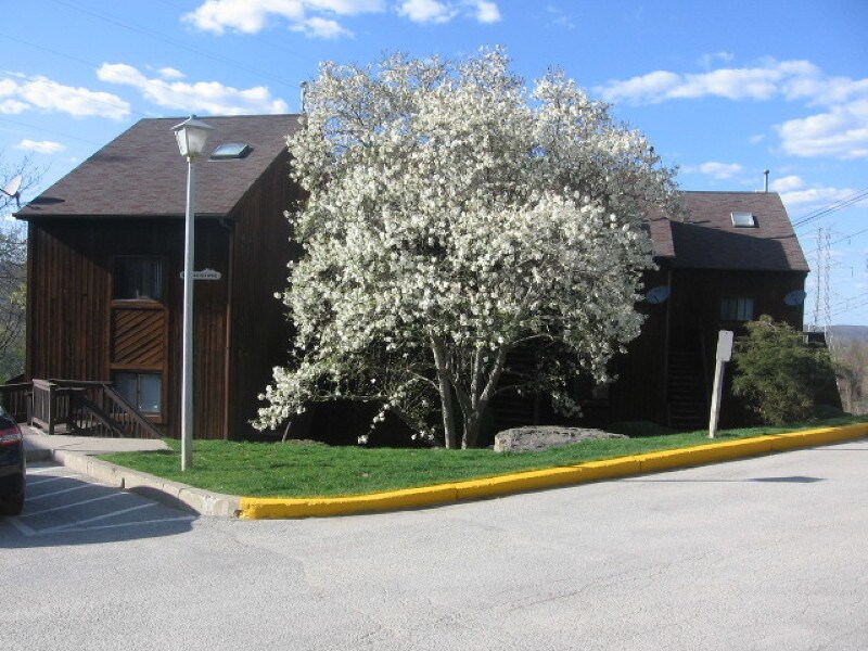 7 Brandywine Ct Unit 5, Vernon Township, NJ 07462 Apartment for Rent