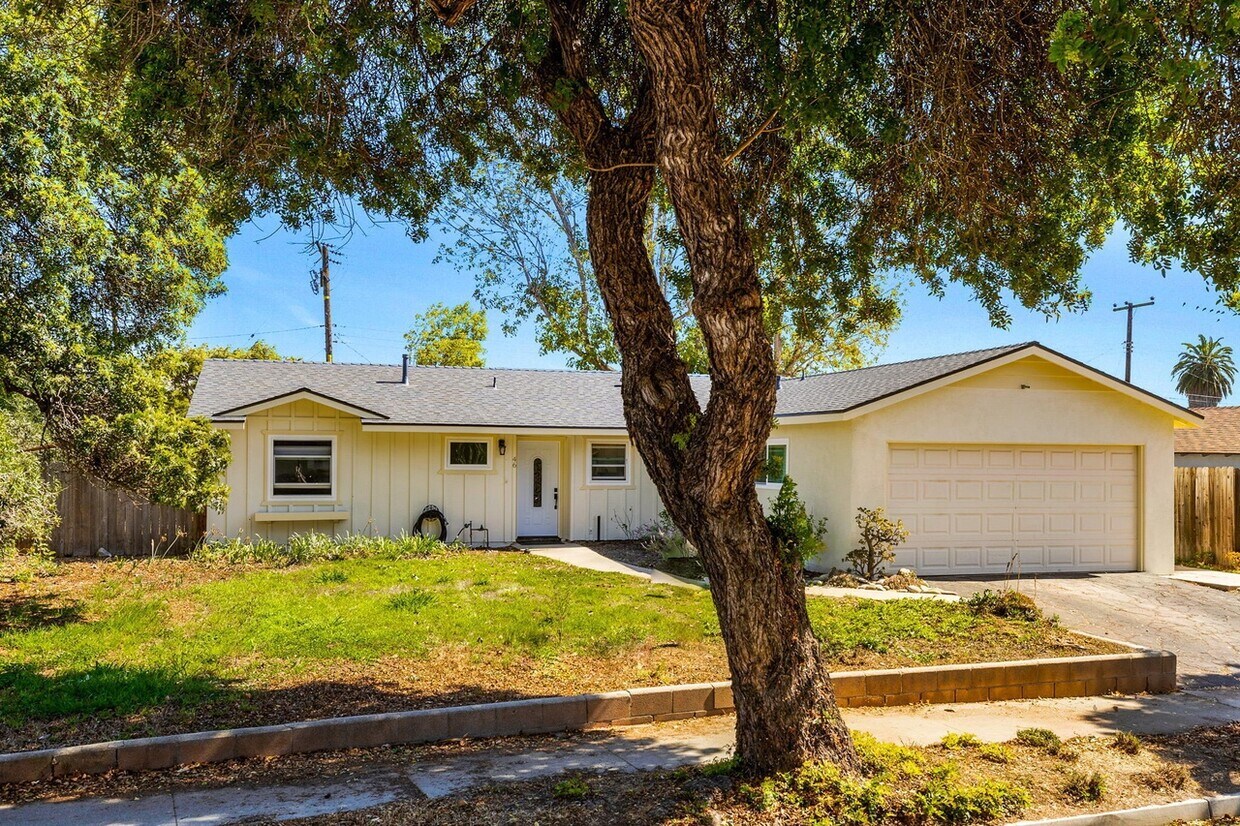 Front Yard - 46 San Rossano Dr