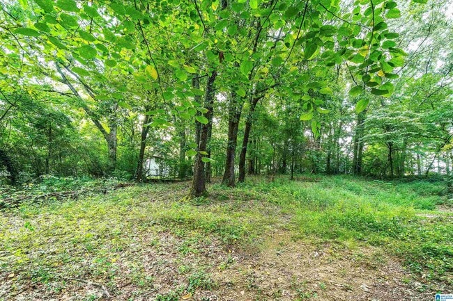 Building Photo - 2415 Ormond Dr