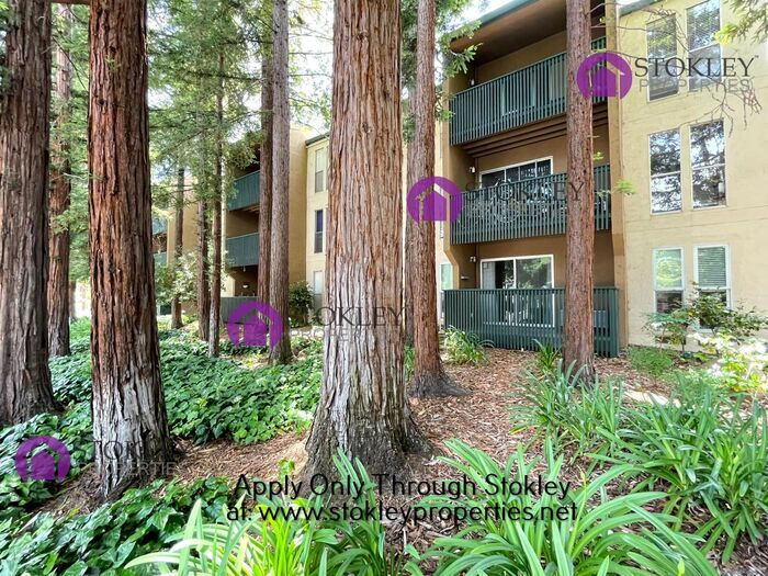 Foto principal - Stokley Properties Presents 185 Sierra Dr ...