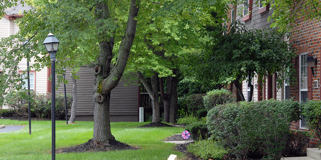 Foto del edificio - Stoneridge Apartments