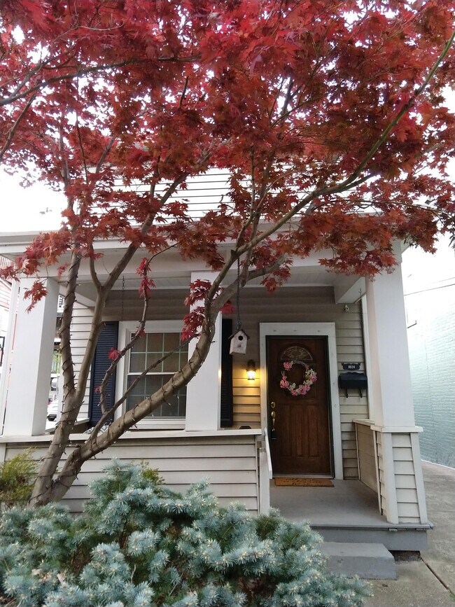 Building Photo - 1024 Paradrome St