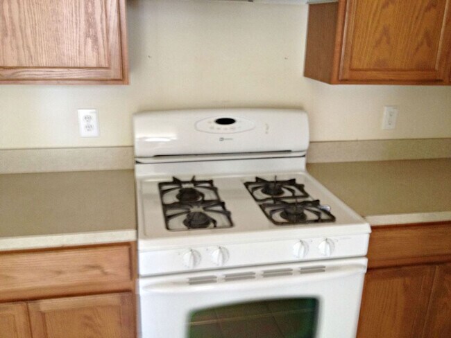 Building Photo - Home For Rent In TX: Hockley 77447  – Palo...