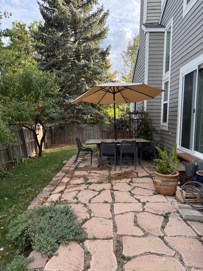 Backyard - 332 Buchanan Ct
