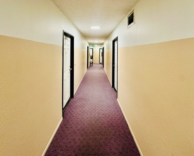 Wilcox Luxury Apartments Apartments in Los Angeles, CA Westside Rentals