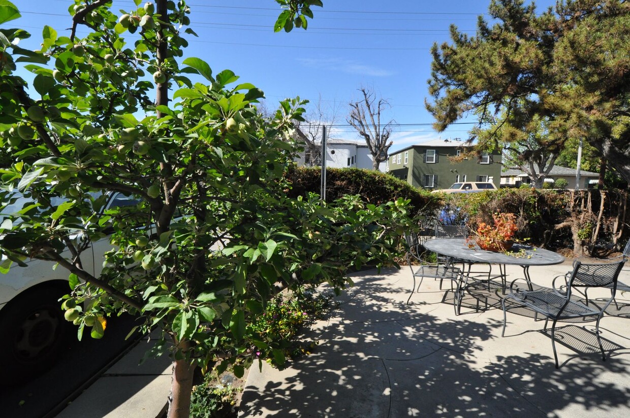 Building Photo - 10924 Camarillo St
