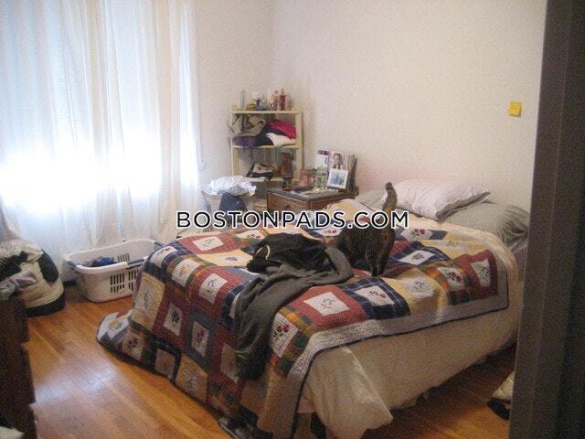 50 Evergreen St Unit 36 photo'