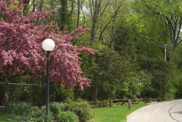 Building Photo - Briar Cliff Apartments