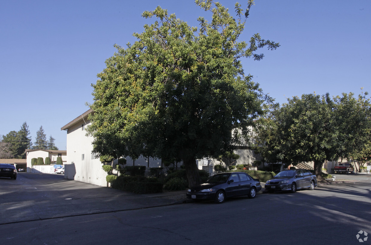 Building Photo - Courtyard Apartments