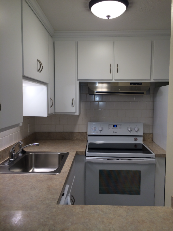 Renovated kitchen - 15 Cass St