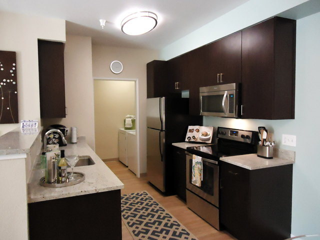 One Bedroom Kitchen - Avalon Campbell