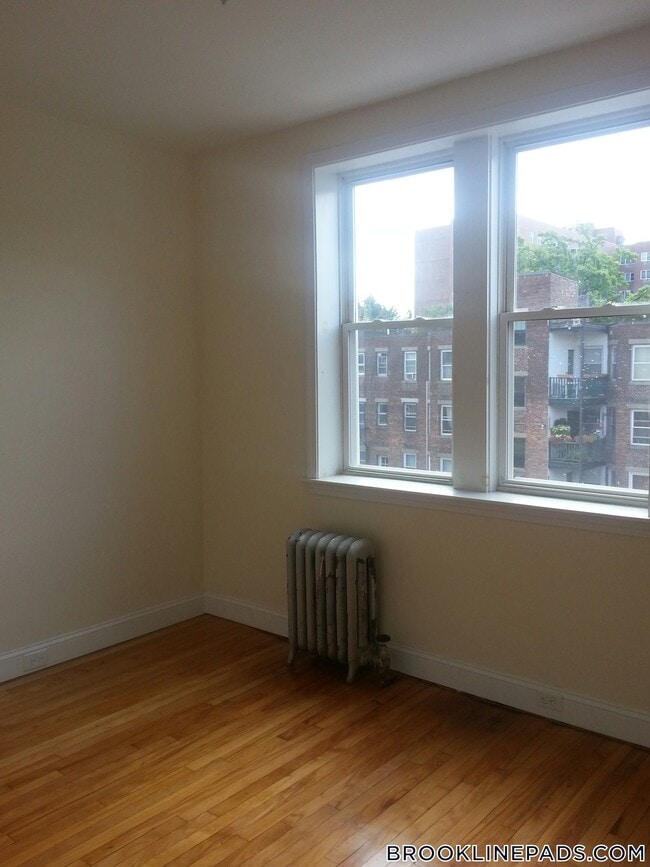 Building Photo - 66 Egmont St