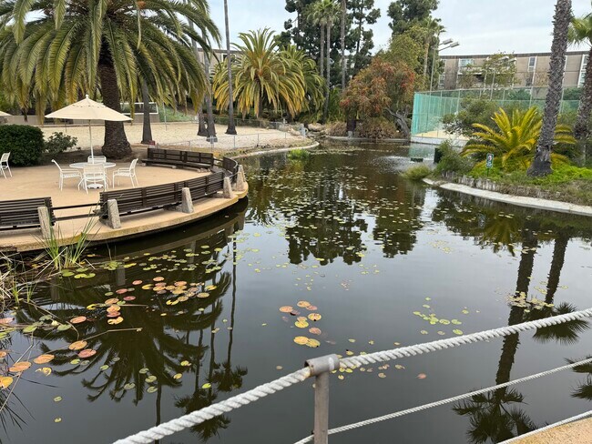 Turtle & Duck pond - 3054 Rue Dorleans