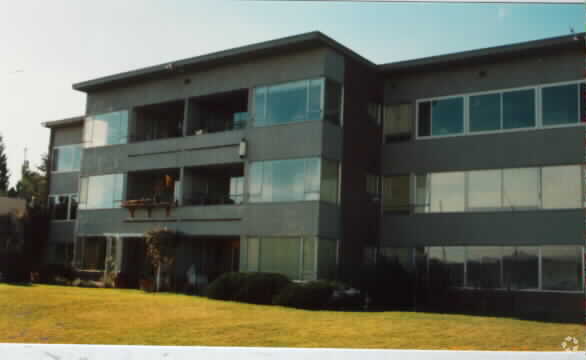 Primary Photo - Blue Dolphin