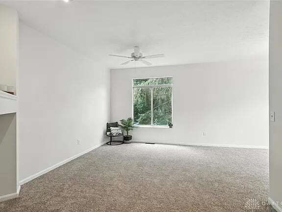 Primary Photo - 8576 Timber Park Dr