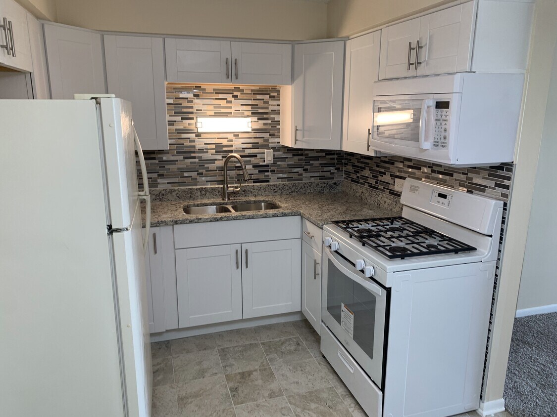 10408 Menard Ave, Oak Lawn, IL 60453 Condo for Rent in Oak Lawn, IL