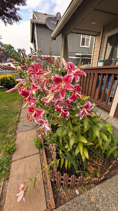 Foto del edificio - 36264 23rd Pl S