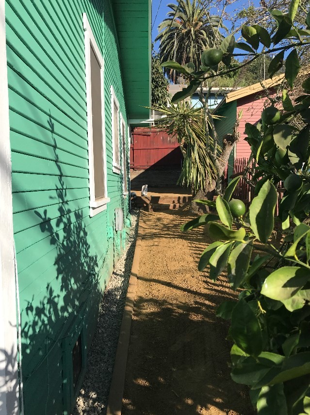 side yard - 2206 Avon St