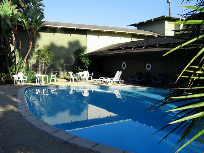 Piscina - Hawaiian Village Apartments