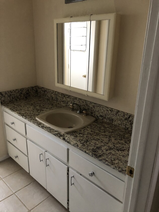 bathroom with plenty of storage granite countertops, upgraded sink - 445 Almond Dr. #29