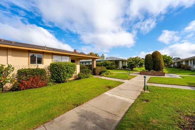 Building Photo - Totally Remodeled Single Story Home