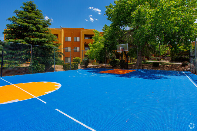 Basketball Court - The Aspens