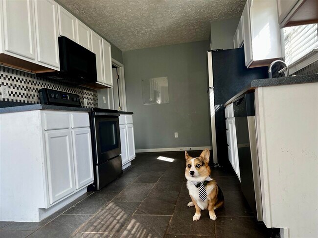 Foto del edificio - 342 Turkey Run Dr