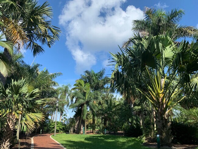 Vista desde el balcón - 1100 N Shore Dr NE