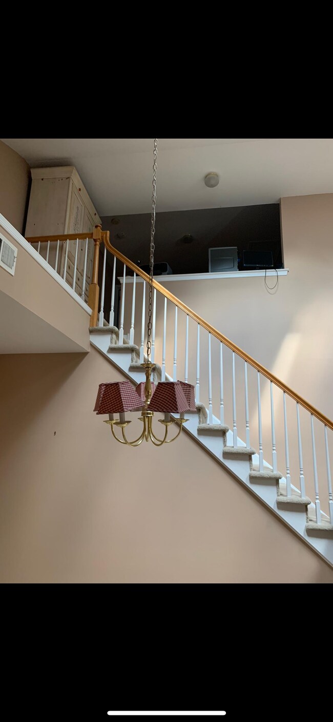 20 Winterberry Ter, Hamilton, NJ 08690 Townhome Rentals in Hamilton