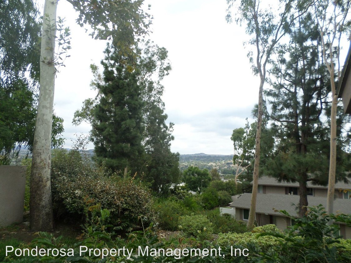 Foto del edificio - 20480 Elm Hill Ln