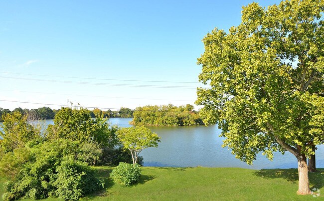 Foto del edificio - The Madison on the Lake