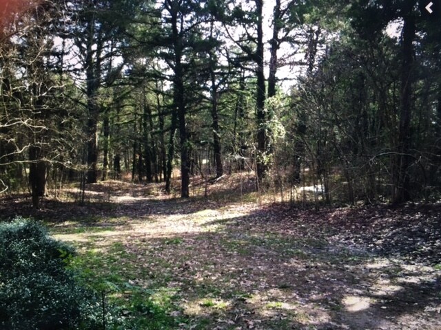 On 20 beautiful acres in city limits - 1108 Dr Martin Luther King Jr Dr W