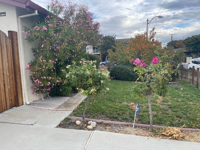 Building Photo - 792 Los Olivos Dr