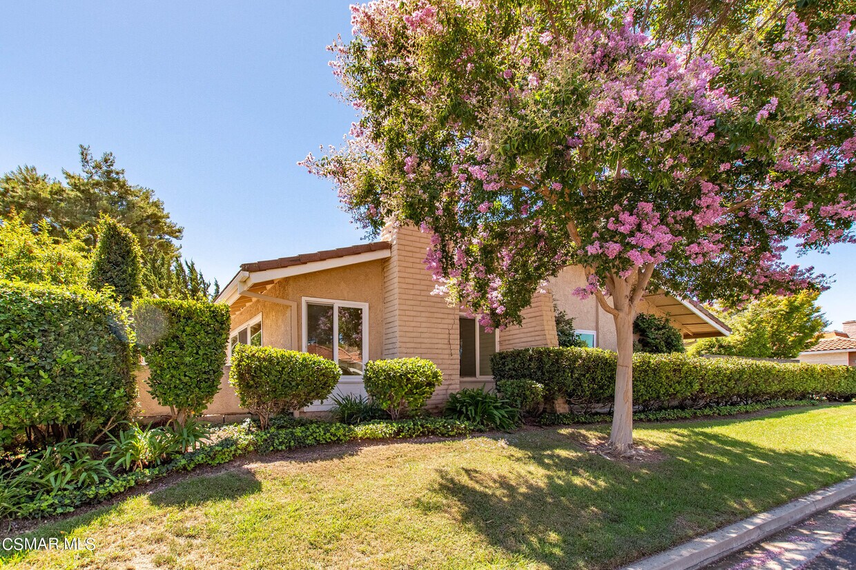 Primary Photo - 2203 Portola Ln