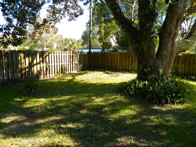 Back Yard - 12 Matanzas Cir