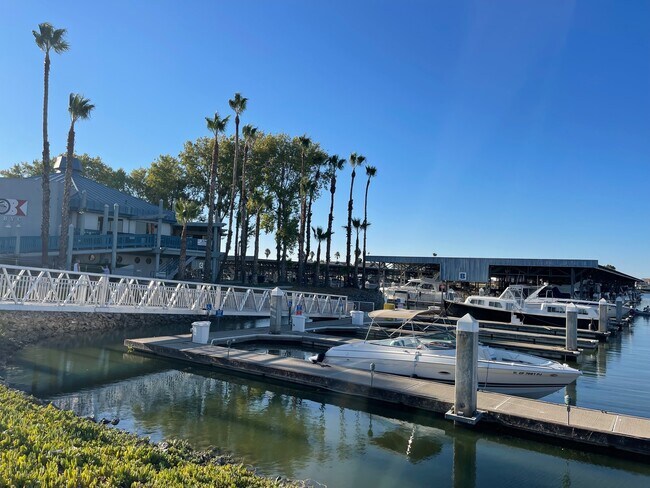 Building Photo - 665 Discovery Bay Blvd