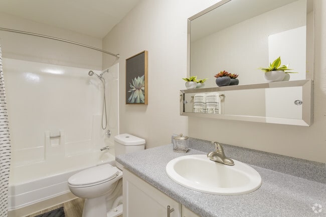 1HAB, 1BA - 680 ft² - The Phoenix Reno