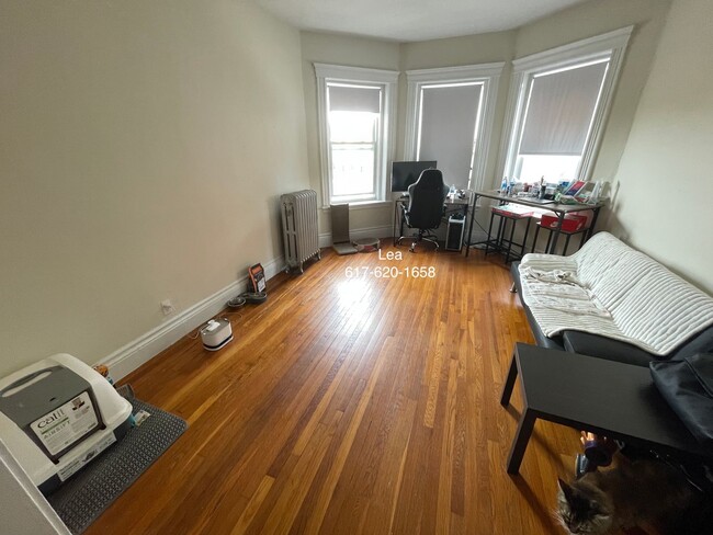 Building Photo - NO FEE***SEPT Incredible 1bed in Allston! ...