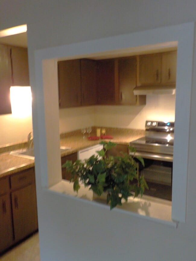 Kitchen Pass Through - 2109 Cedar Run Dr