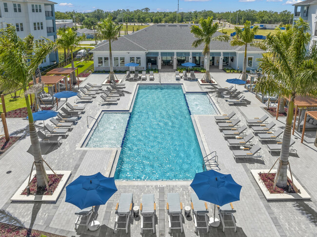 Aerial pool and tanning deck - Marlowe Jacaranda