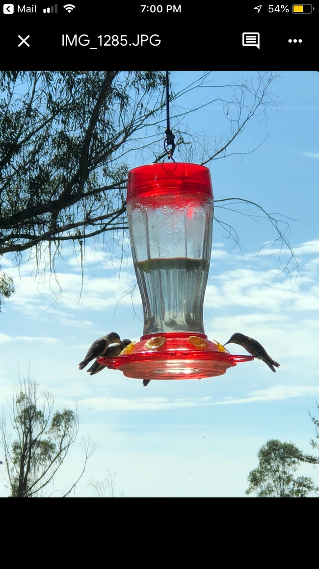 Building Photo - 221 Gillette Rd