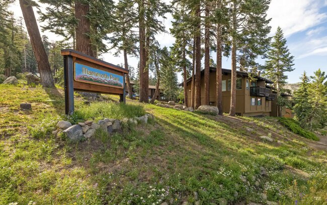 Building Photo - Mountain Paradise: Spectacular Views and S...