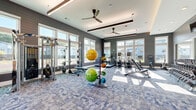 Located at 900 Elm Grove Ave in Gainesville, Georgia, this well-appointed fitness center offers a comprehensive workout environment designed for both cardio and strength training. The space is characterized by its modern aesthetic, featuring gray shiplap-style wall paneling, a coffered ceiling with recessed lighting, warm wood beam accents, and dual ceiling fans that promote excellent air circulation throughout the room.

An abundance of natural light streams in through large, white-trimmed windows on multiple walls, providing open views of the surrounding community and creating a bright, energizing atmosphere. The floor is covered in durable, patterned blue-gray commercial carpet that adds texture and visual appeal while offering comfort underfoot.

The facility is thoroughly equipped with a diverse selection of exercise machines and free weights. Cardio offerings include treadmills and elliptical trainers positioned to take advantage of the exterior views. The strength training area features a power rack with barbell and weight plates, cable and selectorized machines, a full dumbbell rack with mirror, and a dedicated functional fitness station stocked with medicine balls, stability balls, and kettlebells. Full-length mirrors are strategically placed to assist with form and technique. The overall ambiance is clean, modern, and well-lit, making this fitness center a practical and inviting space for daily exercise.