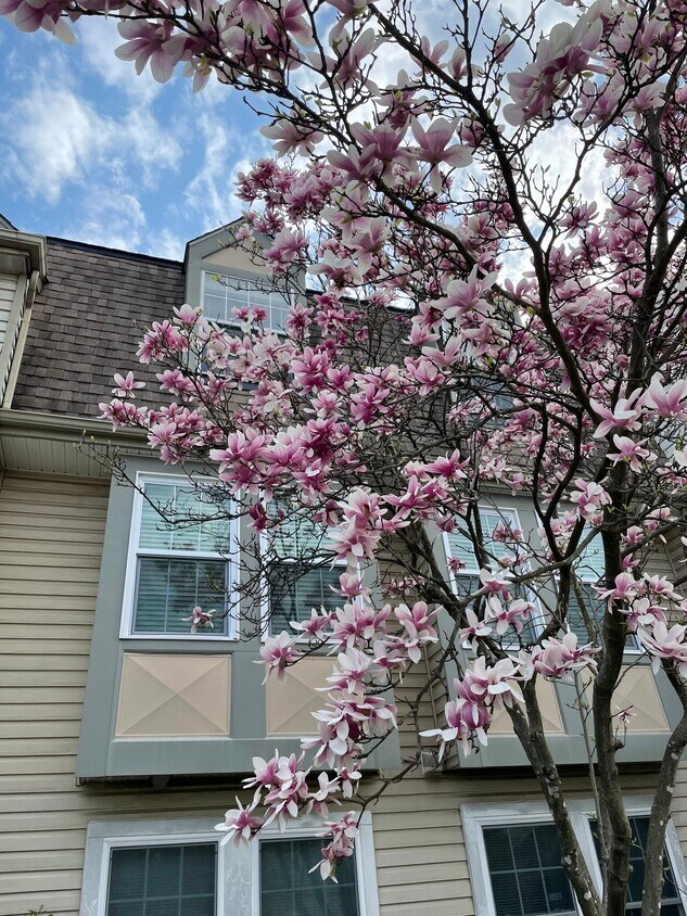 7904 Crows Nest Ct Unit 32, Laurel, MD 20707 Condo for Rent in Laurel