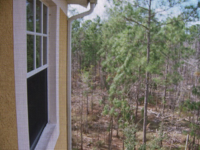 Building Photo - 7960 Preserve Cir
