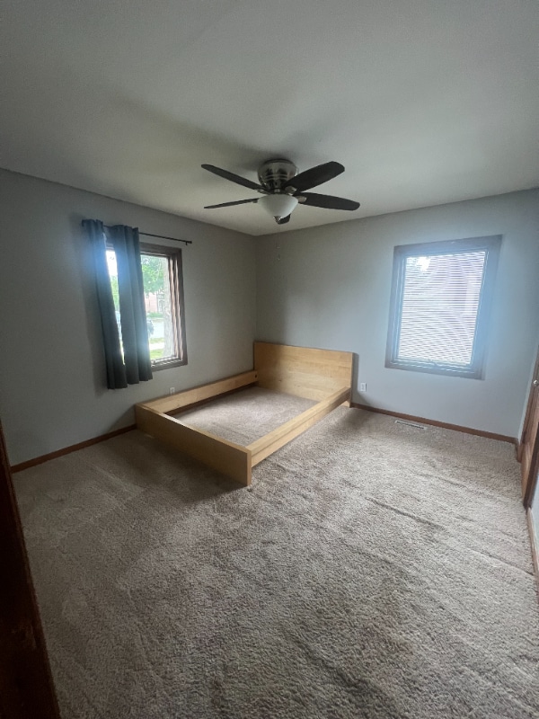 412 W Main St, Waconia, MN 55387 House Rental in Waconia, MN