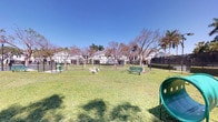 This outdoor communal space serves as a central gathering area within a residential community, offering a variety of recreational amenities across a well-maintained, grassy landscape. The open lawn provides generous room for outdoor activities, framed by mature deciduous trees that offer seasonal shade and a natural aesthetic throughout the grounds.

A fenced dog park occupies one section of the space, enclosed by black metal fencing and equipped with a dog agility or play feature, making it a dedicated and secure area for pets. Nearby, a green park bench offers a comfortable spot for residents to relax and enjoy the surroundings.

Playground equipment is visible along the perimeter, including a green slide, suggesting the space is designed to accommodate families with children. The grounds are neatly landscaped with trimmed hedges lining the fencing, contributing to a clean and organized appearance.

In the background, single-story residential buildings with white facades and pitched roofs line the community, complemented by tall palm trees that reinforce the warm, subtropical Florida setting. The entire area benefits from abundant natural light under clear blue skies, creating a bright and welcoming outdoor environment.