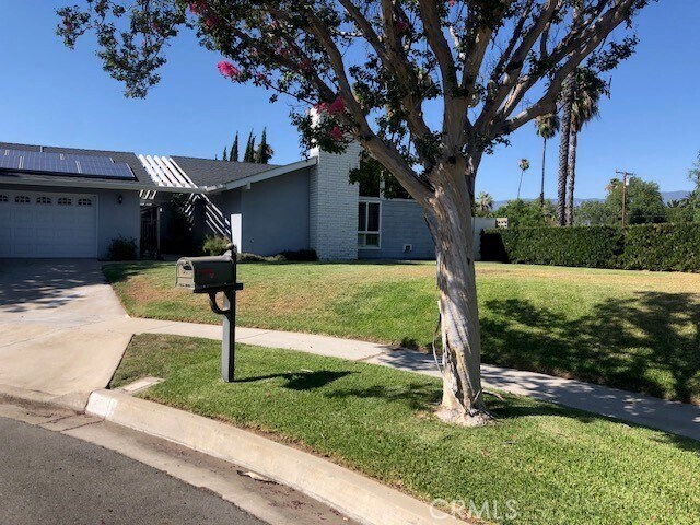 Foto del edificio - 429 Lotus Ct